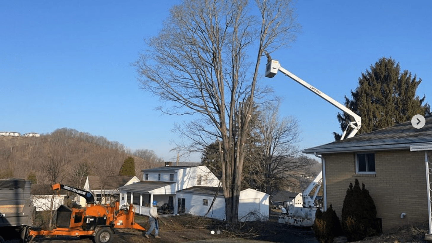 Tree Work proof image